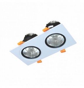 Đèn LED Downlight Vuông Chiếu Điểm Âm Trần 2x5W (DFC2051)