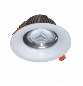 Đèn LED Downlight Chiếu Sâu Trần Cao 20W (DFA0203)